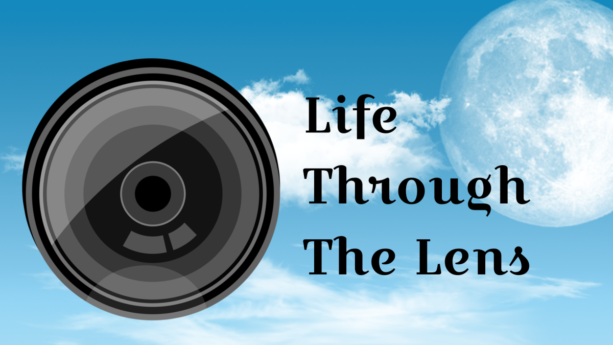 Life Through The Lens